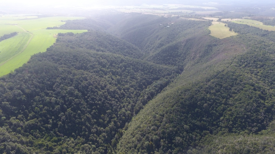  Bedroom Property for Sale in Knysna Rural Western Cape